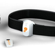Illustration for article titled The Fitness Controllers Are White, Because Black Looked Heavy